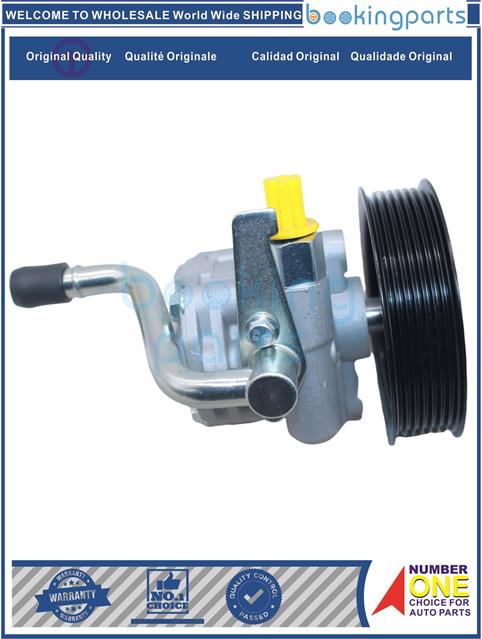 PSP21379(B)-H100 16-Power Steering Pump....209703