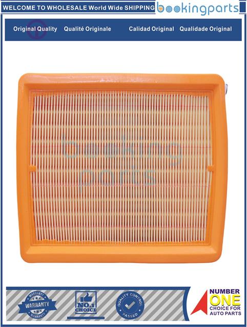 AIF41994-QQ 6 2010-Air Filter....132923