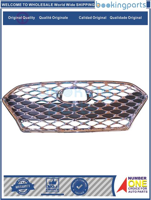 GRI55633-SONATA 18-Grille....189699