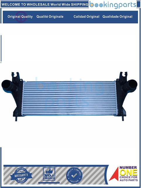 INC3A696-[T20DD0J]RAPTOR  TKE 19-22-Intercooler....249062