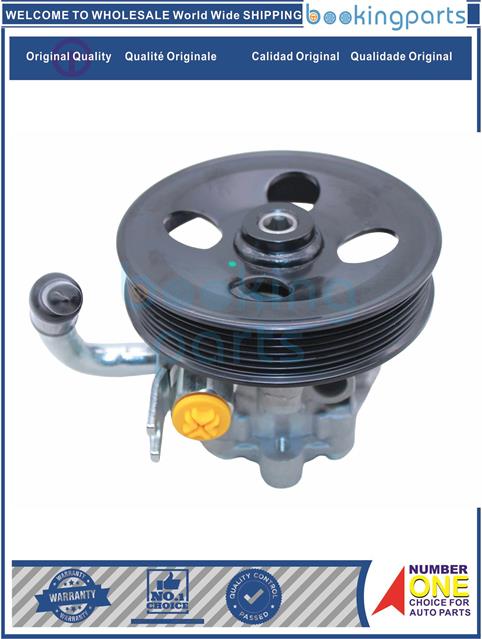 PSP68302-SONATA EMBERA V (NF) 2.4L 05-10-Power Steering Pump....168328