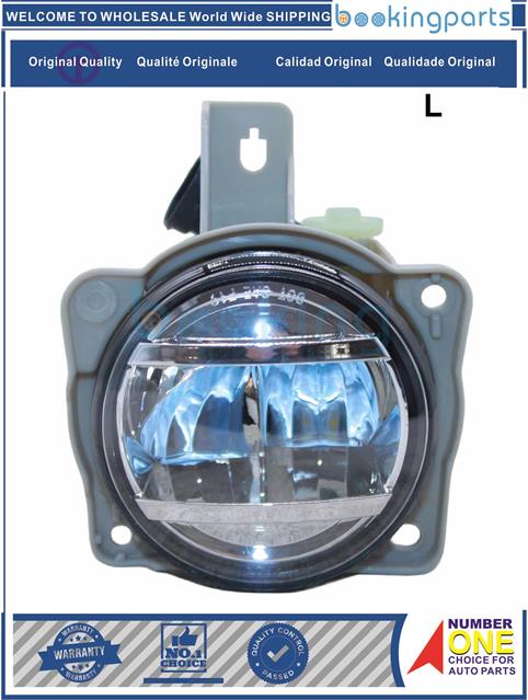 FGL14880(L)-RAIZE HYBRID  A202A 21--Fog Lamp....243869