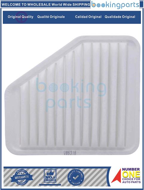 AIF70037-COBALT 05-10,G5 07-09-Air Filter....170665