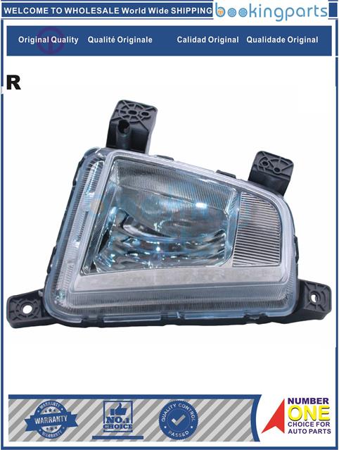 FGL64239(R)-IX25-2015-Fog Lamp....163293