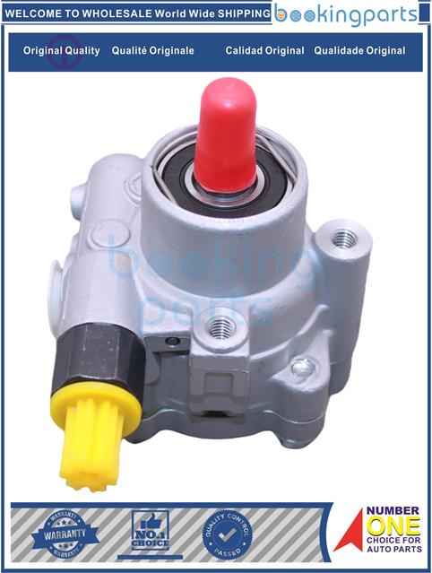 PSP93846-FOCUS 2.0 01-04-Power Steering Pump....231925