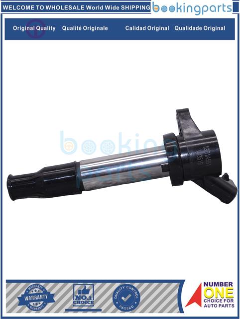 IGC1A551-X5  20--Ignition Coil....245521