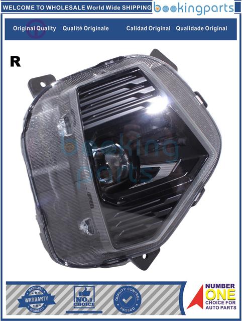 FGL3A485(R)-CS35 PLUS 2021--Fog Lamp....248522