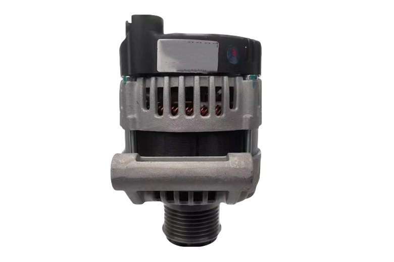 ALT8C561
                                - [JX4D20A6L]VIGUS PRO  20-
                                - Automotive Alternator
                                ....267017