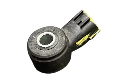 ENS1D865 - [MR20DD]SENTRA 20-24 [KNOCK SENSOR]  ............269961