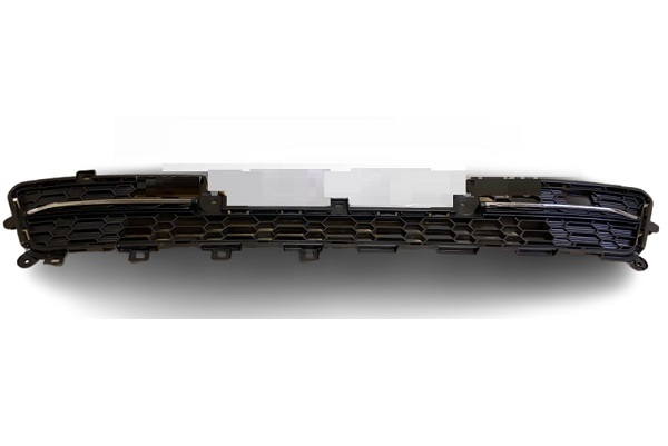 GRI2A494
                                - C55 20 
                                - Grille
                                ....247159