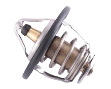 THE69838
                                - D-MAX  06-
                                - Thermostat  
                                ....170439