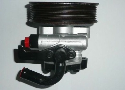 PSP64995
                                - SORENTO 02-06
                                - Power Steering Pump
                                ....193683