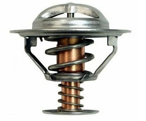 THE72537
                                - PILOT 03-12/ACCORD 95-12
                                - Thermostat  
                                ....173758