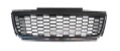 GRI80856-POLO MK5 09-13 [CHINESE TYPE]-Grille....220855