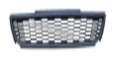 GRI80894
                                - POLO MK5 09-13 [CHINESE TYPE]
                                - Grille
                                ....220856