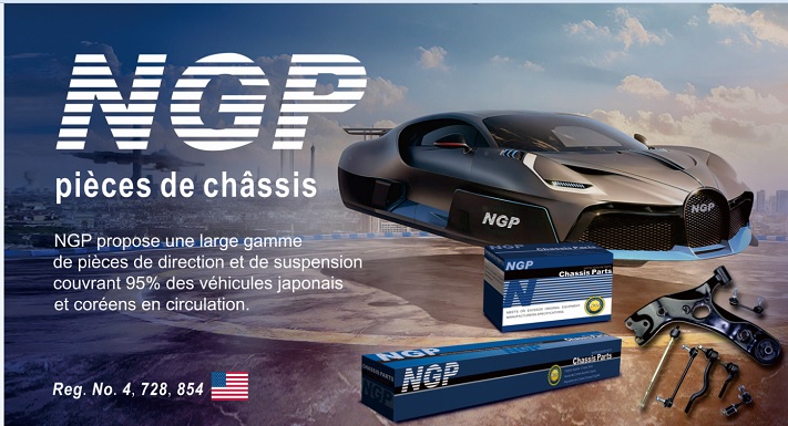 PRO88806(FR) - NGP POSTER FRENCH ............204220