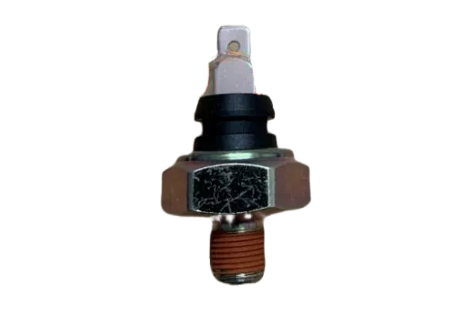 OPS8A376
                                - HAIXING A7 A9
                                - Oil Pressure Switch
                                ....255671