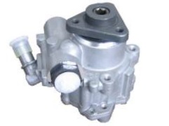 Picture of Power Steering Pump PSP95109 