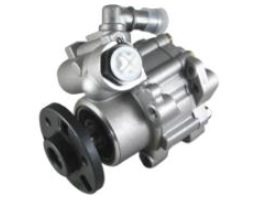 Picture of Power Steering Pump PSP95135 