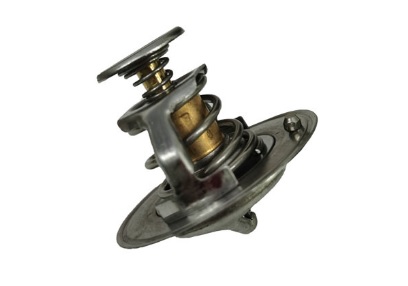 THE99328
                                - TOURING 2020
                                - Thermostat  
                                ....241295